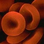 Jonathan's blood cells