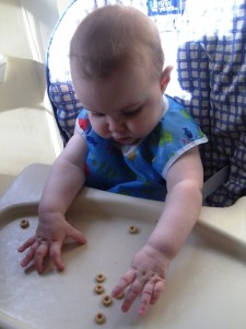 Concentrating - her first exposure to Cheerios